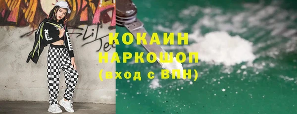 шишки Краснослободск