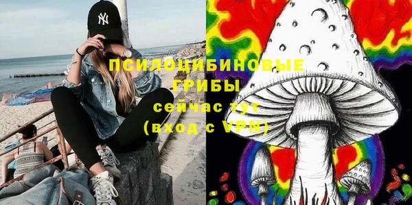молекула духа Краснотурьинск
