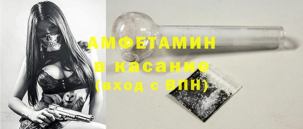 шишки Краснослободск