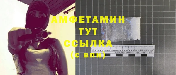шишки Краснослободск