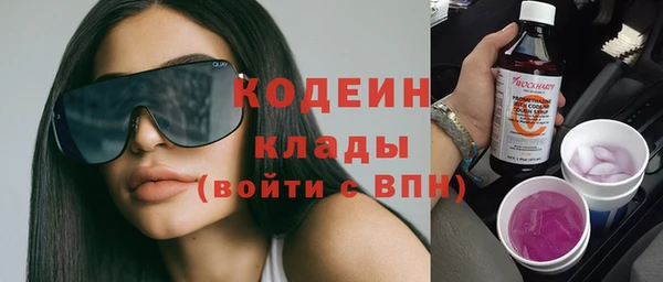 шишки Краснослободск