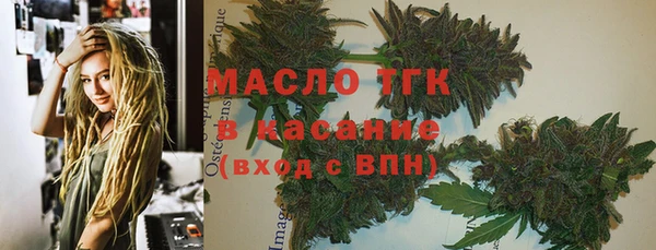 шишки Краснослободск