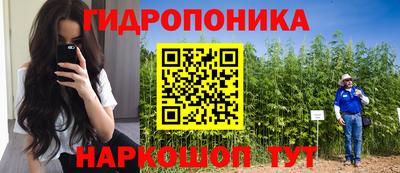 прущие грибы Кимры