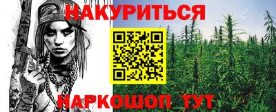 шишки Апшеронск