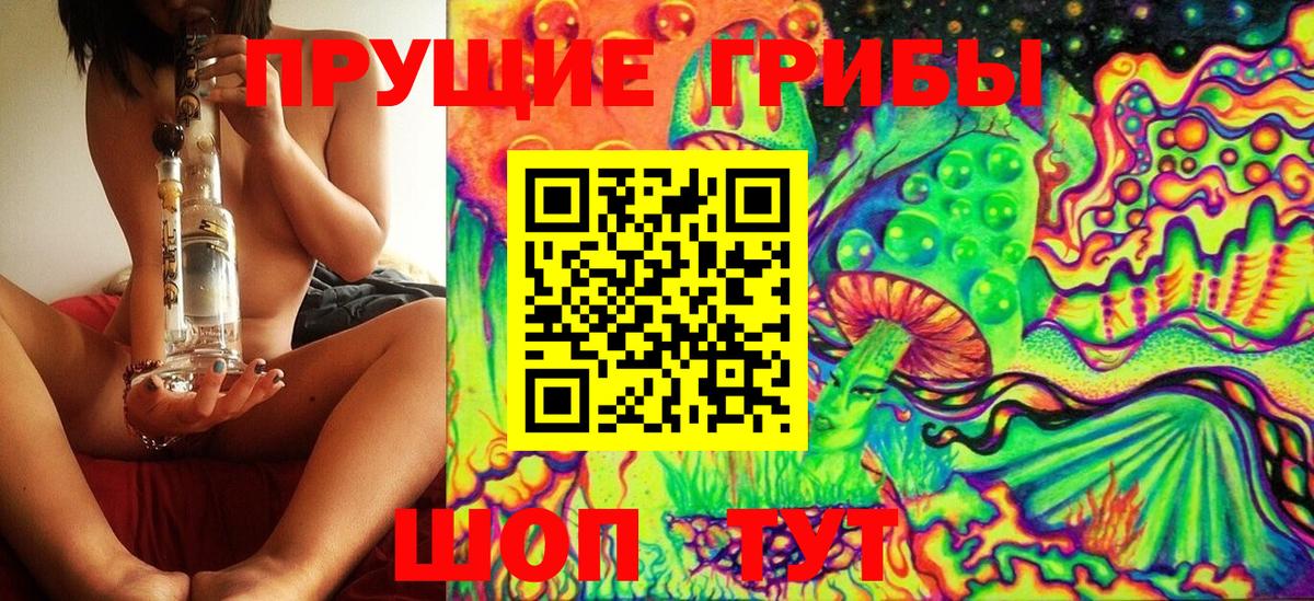 Галлюциногенные грибы Psilocybine cubensis  Вход с VPN  Псилоцибиновые грибы мухоморы  наркотики  Нижний Новгород 